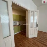 Rent 1 bedroom apartment of 40 m² in Kolín