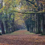 Welsh Row, Nantwich