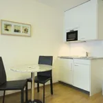 Rent 1 bedroom apartment of 30 m² in Zürich