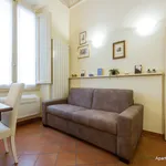 Rent 1 bedroom apartment of 45 m² in Florence