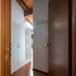 Rent 1 bedroom apartment in Bologna