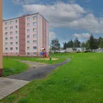 Pronajměte si 3 ložnic/e byt o rozloze 79 m² v Rotava