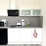 Pronajměte si 1 ložnic/e byt o rozloze 56 m² v Prague