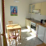 Rent 1 bedroom apartment of 37 m² in Dresden