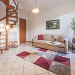 Rent 1 bedroom apartment of 49 m² in Florence