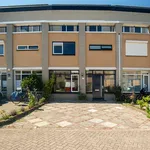 Diabellistraat, Capelle aan den IJssel - Amsterdam Apartments for Rent