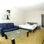 Rent 1 bedroom apartment of 35 m² in Zürich