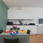 Rent 1 bedroom apartment in Milan