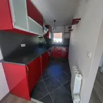 Rent 1 bedroom apartment of 34 m² in combaillaux