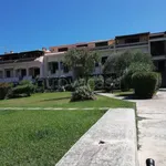 Rent 3 bedroom apartment of 110 m² in Arzachena