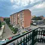 Rent 2 bedroom apartment of 55 m² in Turin