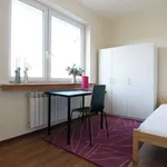 Rent a room in lodz