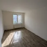 Rent 2 bedroom apartment in Vsetín