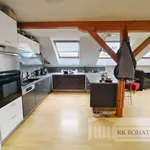 Rent 5 bedroom apartment of 150 m² in Praha 7