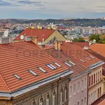 Pronajměte si 1 ložnic/e byt o rozloze 30 m² v Capital City of Prague