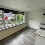 Huur 1 slaapkamer appartement van 17 m² in Groningen