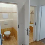 Pronajměte si 2 ložnic/e byt o rozloze 55 m² v Praha