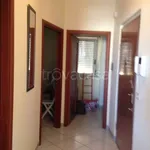 Rent 3 bedroom apartment of 75 m² in Termoli