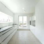 Rent a room of 250 m² in berlin