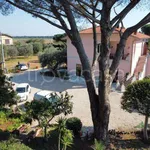 Rent 2 bedroom house of 65 m² in Capalbio