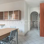 Rent 3 bedroom apartment of 70 m² in Ceriale