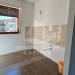 Rent 3 bedroom apartment of 100 m² in Ortona