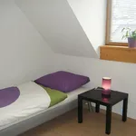 Rent 1 bedroom apartment of 17 m² in München