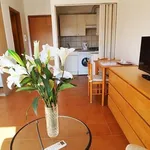 Rent 1 bedroom apartment of 35 m² in Roma