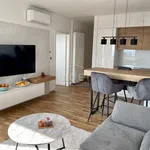 Rent 2 bedroom apartment of 47 m² in Grad Rijeka