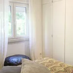 Alugar 1 quarto apartamento em lisbon