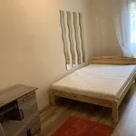 Rent 2 bedroom apartment of 50 m² in Pécs