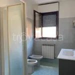 Rent 2 bedroom apartment of 55 m² in Rozzano