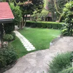 Rent 3 bedroom house of 561 m² in Mexico City