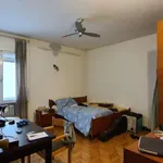 Rent a room in trento