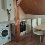 Rent 1 bedroom apartment of 50 m² in Plzeň