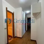 Rent 2 bedroom apartment of 60 m² in Palermo