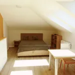 Rent 6 bedroom house of 300 m² in Budapest