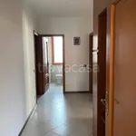 Rent 4 bedroom apartment of 100 m² in Pieve Emanuele