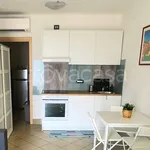 Rent 1 bedroom apartment of 30 m² in Pedrengo