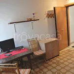 Rent 1 bedroom apartment of 29 m² in Padova