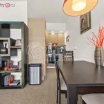 Rent 2 bedroom apartment of 498 m² in Praha