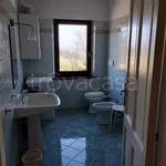 Rent 3 bedroom apartment of 67 m² in Jesi