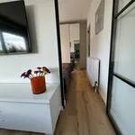 Rent 1 bedroom apartment in Kontich