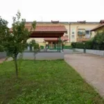 Rent 2 bedroom apartment of 60 m² in Turin