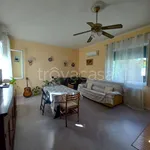 Rent 1 bedroom apartment of 55 m² in Venezia