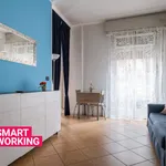 Rent 1 bedroom apartment of 30 m² in Bologna