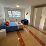 Rent a room in madrid