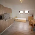 Studio o rozloze 26 m² v prague