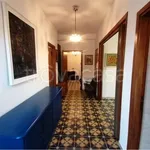 Rent 4 bedroom apartment of 110 m² in Catania