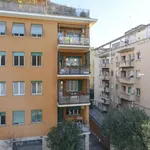 Rent 1 bedroom apartment in Rome